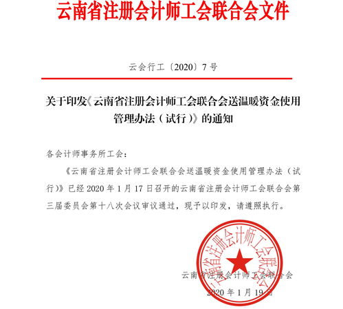 关于印发 云南省注册会计师工会联合会送温暖资金使用管理办法 试行 的通知