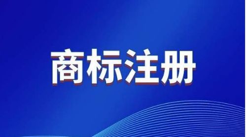 注册商标查询申请如何办理