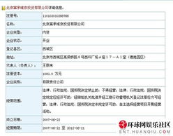 网友曝刘涛老公伪豪门 信用卡欠款260万